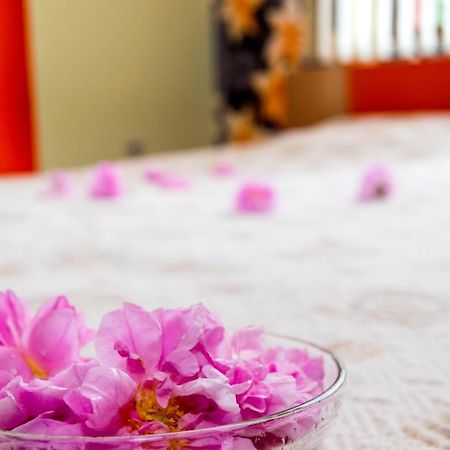 Family Hotel Kavrakovi Pavel Banya Dış mekan fotoğraf