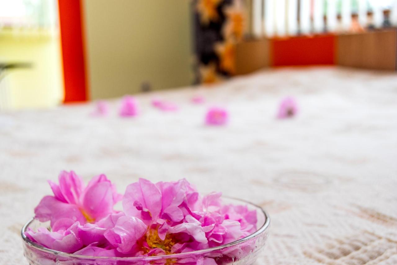 Family Hotel Kavrakovi Pavel Banya Dış mekan fotoğraf